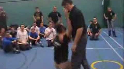 Vladimir Vasiliev - Systema workshop footage