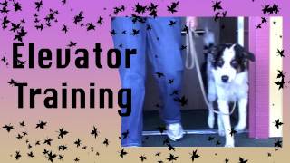 Elevator Training