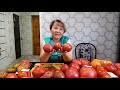 Сорта томатов в разрезе 2020 года . Часть 2. Нижегородская об. Северный регион.
