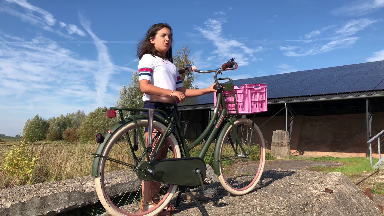 gazelle puur nl 2020