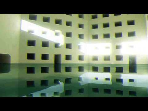 【Disminal】バックルームに落ちました.mpeg【２９３】
