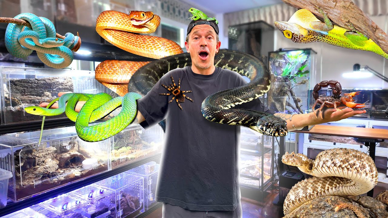 Latest Title & Thumbnail