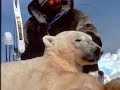 Polar Bear Bowhunt in Northwest Territories