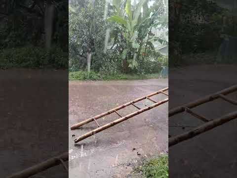 🌧️ বৃষ্টিভেজা গ্রামের অসাধারণ সুন্দর দৃশ্য! 🌴☔ | Rainy Day Village #shorts