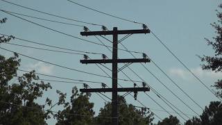 Fairfield Electric s reduced voltage briefly shut down AC units at multiple Richland Two Schools