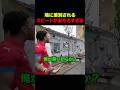 鳩に差別されるスピード #shorts