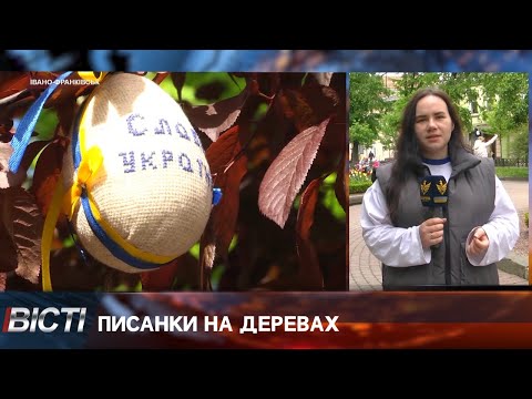 В Івано-Франківську традиційно одягнули дерева у писанки