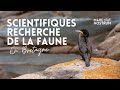 Scientifiques curieux des îles bretonnes, à la découverte de la faune marine - Arvor - reportage
