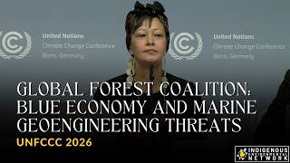 Global Forest Coalition: Blue Economy and Marine Geoengineering Threats | SB64 2026 Ggc Episode 2 Forests And Climate