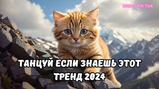 💗ТАНЦУЙ ЕСЛИ ЗНАЕШЬ ЭТОТ ТРЕНД 2024💗