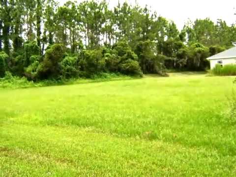 5911 Flatwoods Manor Cir, Lithia, FL home video tour
