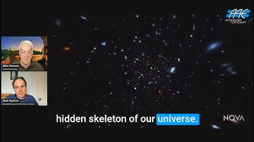 Bringing the Cosmic Web Down to Earth with Mark Neyrinck