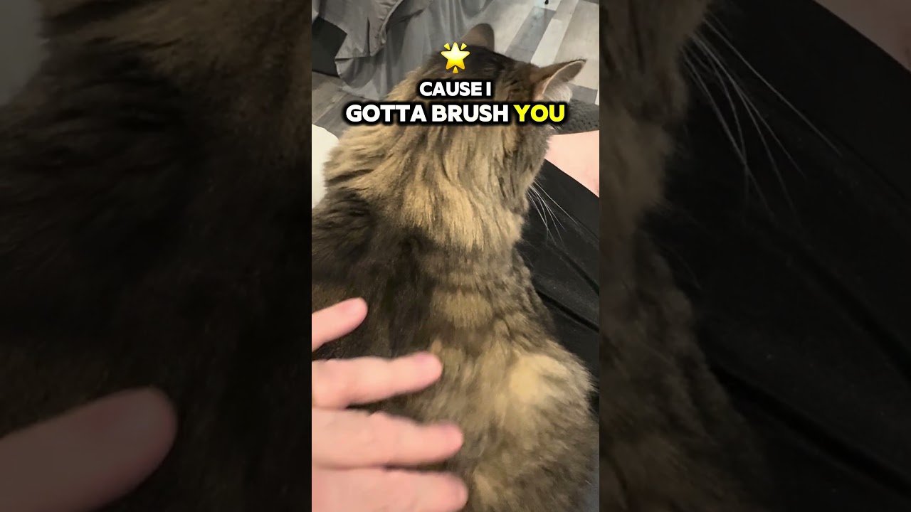 Она — одна из величайших загадок жизни 