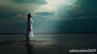 Üstat şair Yahya Kemal Beyatlı Sessiz Gemi Ayrılık Vakti Gelmişse Zamandan Meçhule Giden Bir Gemi