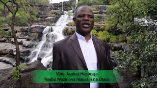 ALICHOSEMA NAIBU WAZIRI WA MALIASILI, JAPHET HASUNGA BAADA YA KUTEMBELEA MAPOROMOKO YA KIMANI