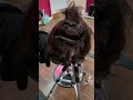 Shampoo 2 human hair toppers w me &amp; beach waves! #laceclosure