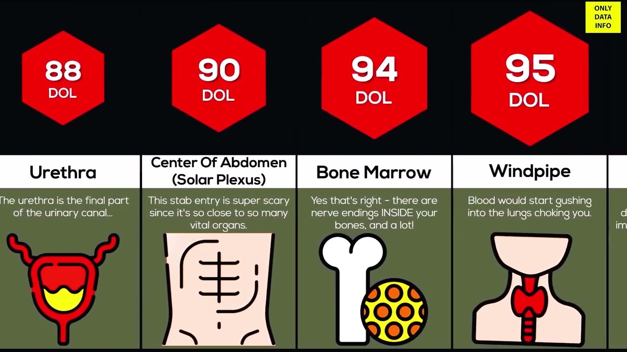 Comparison: Worst Places To Get Stabbed on body !