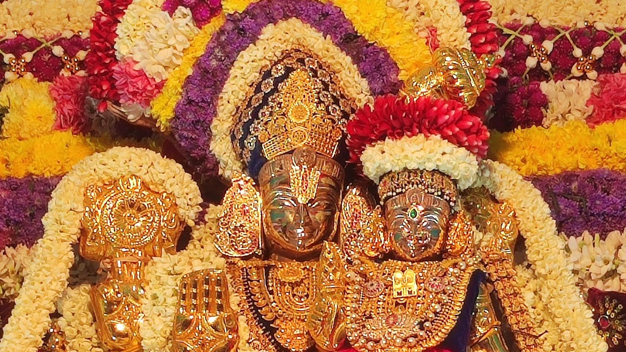 தீவனூர் ஸ்ரீ லக்ஷ்மி நாராயண பெருமாள் புதுவையில் இருந்து தீவனூர் புறப்பாடு