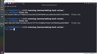 Linux CLI | Comparing Files with Hash Values | CMP SHA256SUM