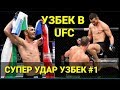 Махмуд Мурадов Шокировал Всех Дебютом на UFC