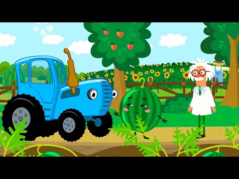 THE BLUE TRACTOR - BERRIES - KIDS SONG
