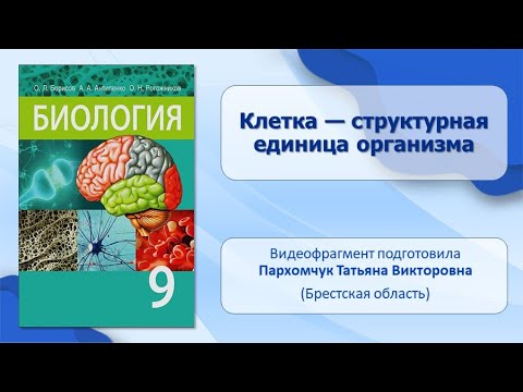 Клетки, ткани, органы и системы органов. Тема 1. Клетка — структурная единица организма