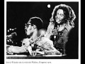 Peter Tosh Live At Wonder Dream Concert 1975 Legalize IT 