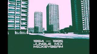 1994 - 1995 Old Skool Jungle Mix (Mickey Beam)