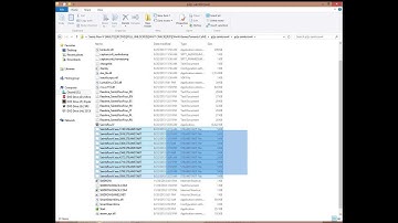 Saints Row IV Problem play Please Help