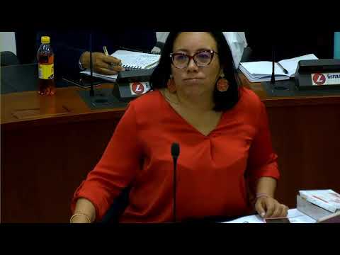 Comisión Séptima Constitucional Permanente - 18/mayo/2023- Discusión y votación Proyectos de Ley.