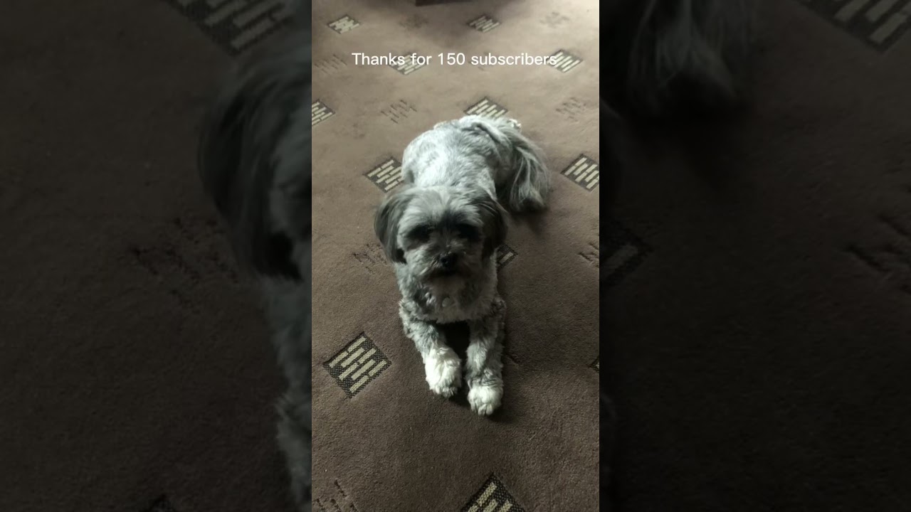 Thanks for 150 subscribers ❤️