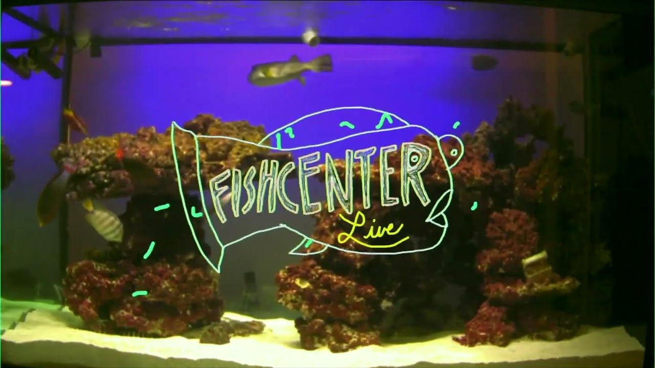 Fishcenter - Rex Chapman and David Helmers (April 9, 2020)