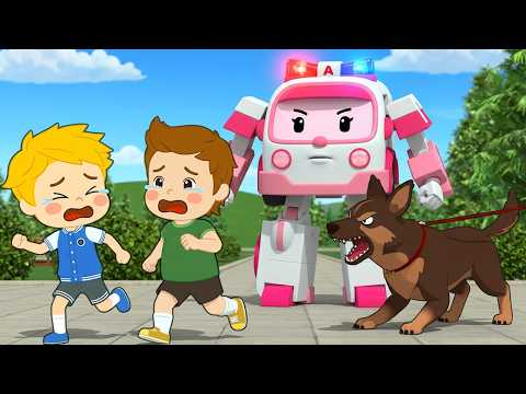 Robocar Poli - Safety Lessons with Amber 🚑 Beware of Dogs! (Compilation)