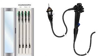 L#6 Types Of Endoscopes