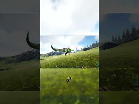 قيقا ضد ريكس صدمة