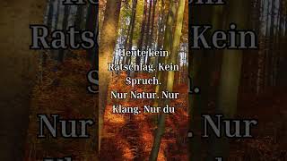 Heute kein Ratschlag Kein Spruch Nur Natur. Nur Klang. Nur du #calmandkind#klangreise#relaxingmusic