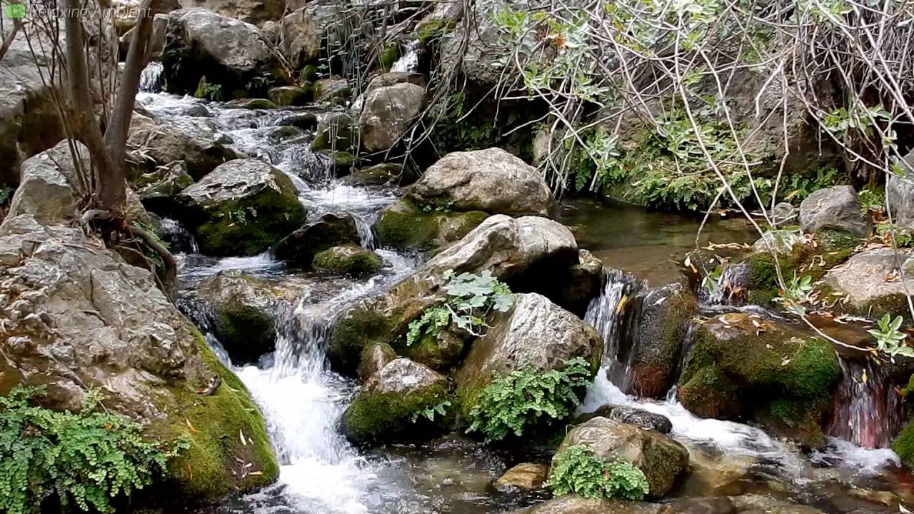 relax sounds youtube river birds 10 hours relax sounds youtube river birds 10 hours