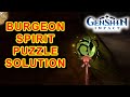 Burgeoning spirit puzzle solution in realm of farakhkert cave  genshin impact 36