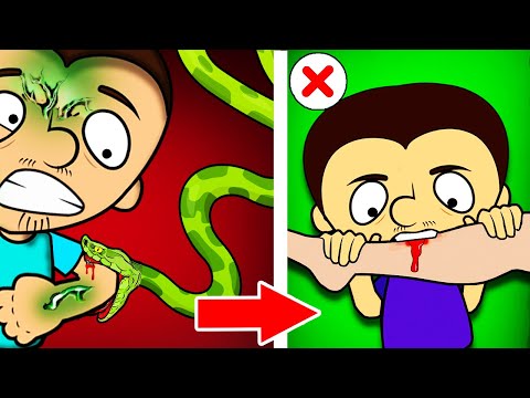 Видео: Ядовитая змея VS Супер Антоша. Что делать при укусе и как действует яд  Сборник