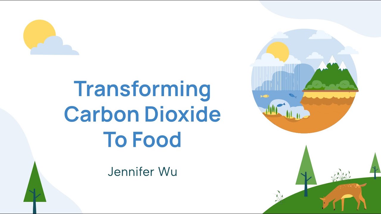 Transforming Carbon Dioxide To Food YouTube