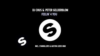 DJ Chus & Peter Gelderblom - Feelin' 4 you (Muzikjunki remix) Resimi