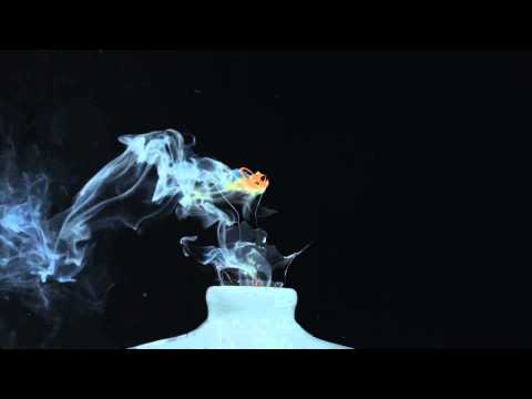 Exploding Light Bulbs