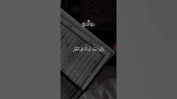 #القرآن_الكريم #quran #تلاوة_خاشعة