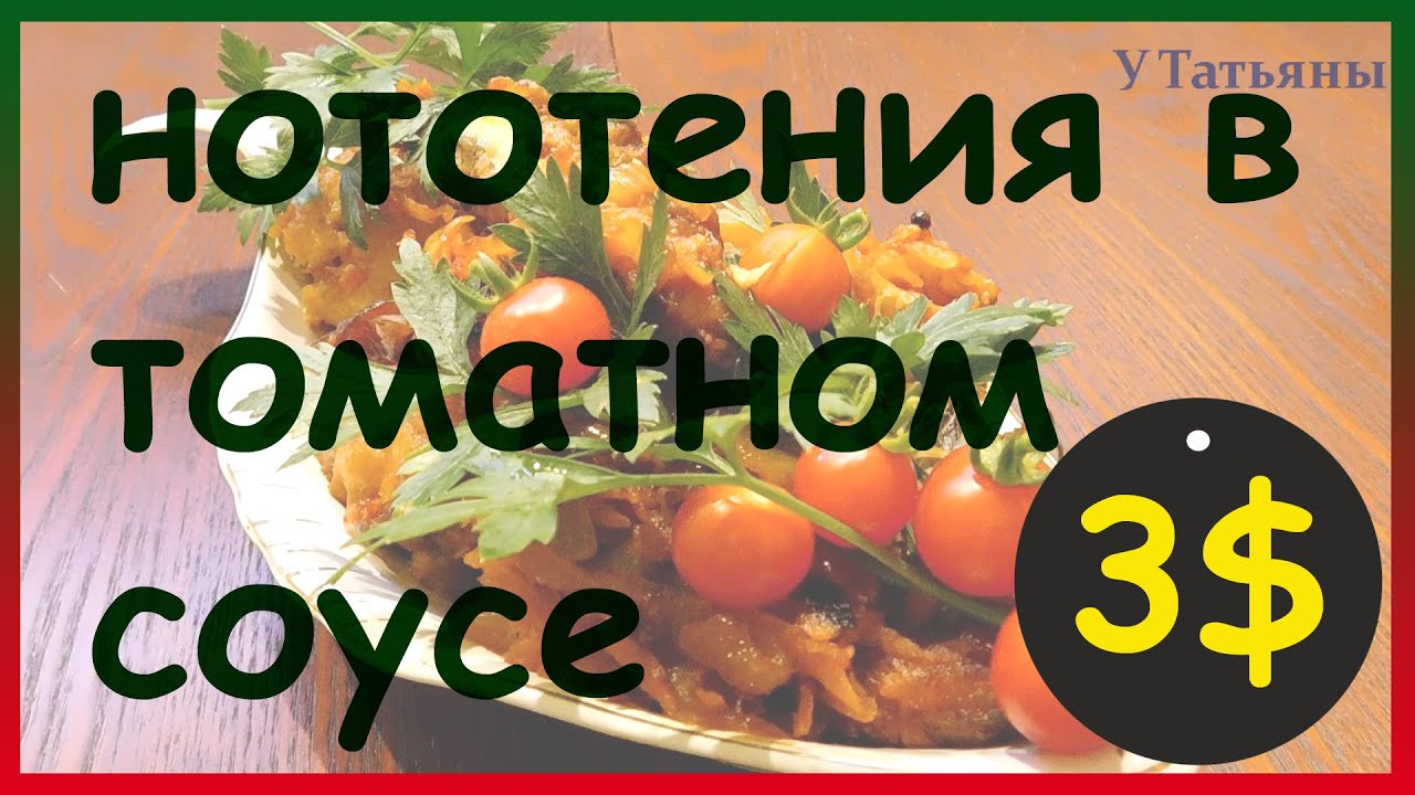 Нототения в томатном соусе очень вкусная рыба.