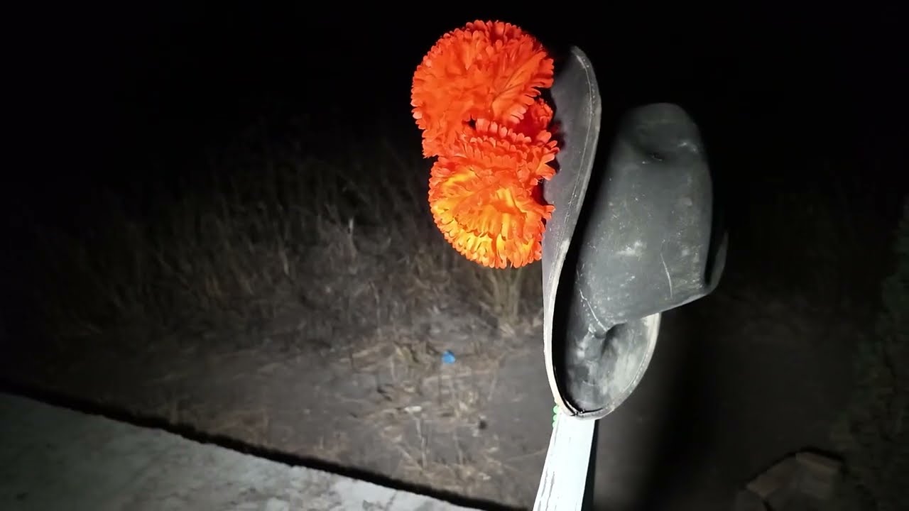 Dan la bienvenida | EN CAMPO SANTO YA MUY DE NOCHE