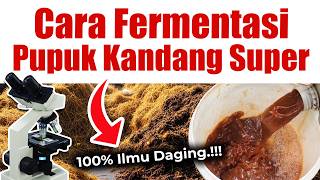 Download lagu 100% ILMU DAGING.❗❗❗ CARA FERMENTASI PUPUK KANDANG SUPER | Agar Tanaman Subur Bebas Penyakit