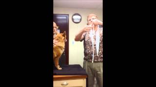 Famous Homemade Muzzle Net Worth