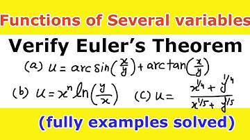3. Verify the Euler