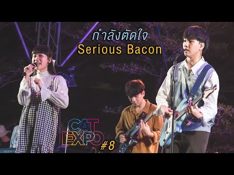 กำลังตัดใจ - Serious Bacon [Cat Expo 8: 8 May 2022]