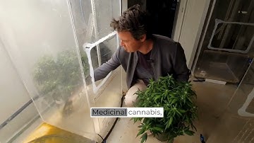 Eén minuut met... Tobias Kretzschmar en plantenveredeling en genetica aan de Southern Cross Unive...